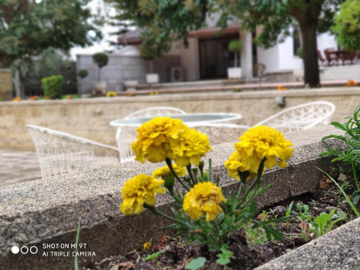 Blanca Con Piscina A 15 Minutos De Toledo - Aloha Toledo Olias del Rey